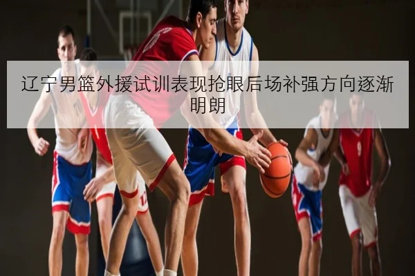 辽宁男篮外援试训表现抢眼后场补强方向逐渐明朗