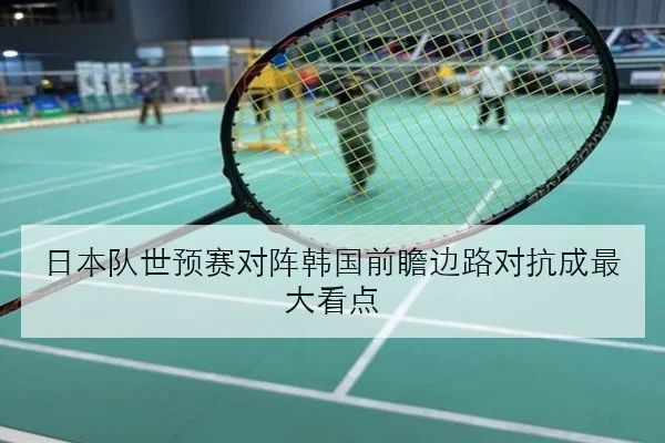 张伟丽卫冕战前备战强度升级与地面防守策略全面解析